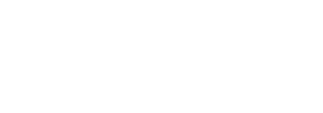 inr_logo_blanc